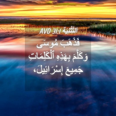 Picture 04 - اَلتَّثْنِيَة 31:1 AVD - فَذَهَبَ مُوسَى وَكَلَّمَ - Bible Verse Picture