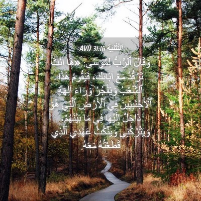 Picture 04 - اَلتَّثْنِيَة 31:16 AVD - وَقَالَ ٱلرَّبُّ لِمُوسَى: - Bible Verse Picture