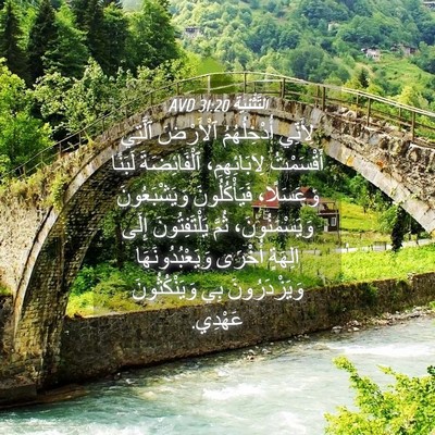Picture 04 - اَلتَّثْنِيَة 31:20 AVD - لِأَنِّي أُدْخِلُهُمُ - Bible Verse Picture