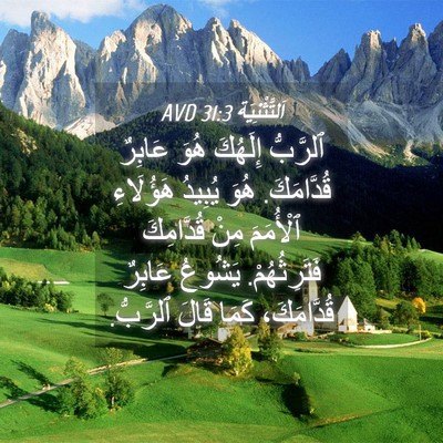 Picture 04 - اَلتَّثْنِيَة 31:3 AVD - ٱلرَّبُّ إِلَهُكَ هُوَ - Bible Verse Picture