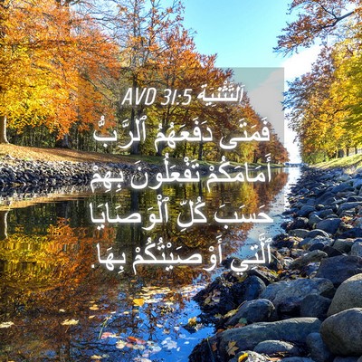 Picture 04 - اَلتَّثْنِيَة 31:5 AVD - فَمَتَى دَفَعَهُمُ - Bible Verse Picture
