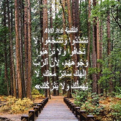 Picture 04 - اَلتَّثْنِيَة 31:6 AVD - تَشَدَّدُوا - Bible Verse Picture