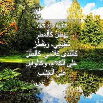 Picture 04 - اَلتَّثْنِيَة 32:2 AVD - يَهْطِلُ كَٱلْمَطَرِ - Bible Verse Picture
