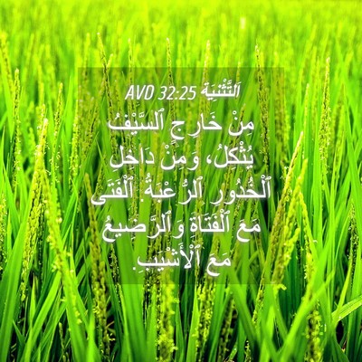 Picture 04 - اَلتَّثْنِيَة 32:25 AVD - مِنْ خَارِجٍ ٱلسَّيْفُ - Bible Verse Picture