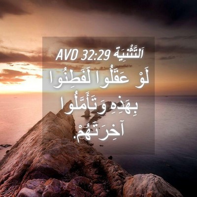 Picture 04 - اَلتَّثْنِيَة 32:29 AVD - لَوْ عَقَلُوا لَفَطِنُوا - Bible Verse Picture