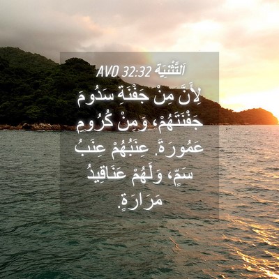 Picture 04 - اَلتَّثْنِيَة 32:32 AVD - لِأَنَّ مِنْ جَفْنَةِ - Bible Verse Picture