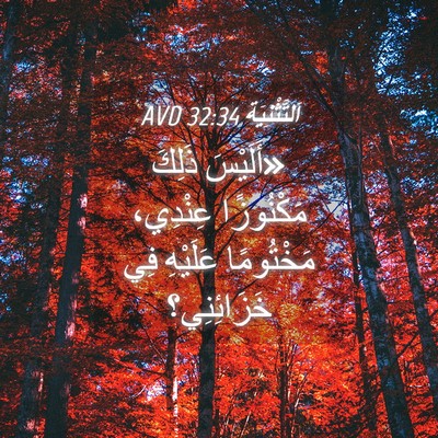 Picture 04 - اَلتَّثْنِيَة 32:34 AVD - «أَلَيْسَ ذَلِكَ - Bible Verse Picture