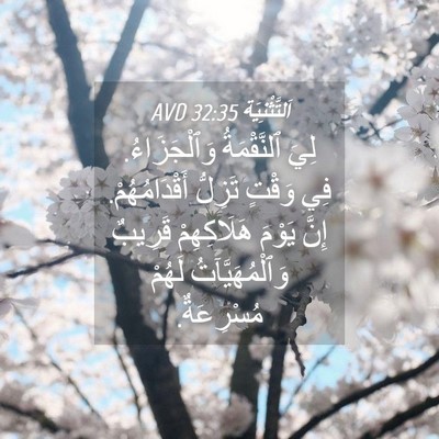 Picture 04 - اَلتَّثْنِيَة 32:35 AVD - لِيَ ٱلنَّقْمَةُ - Bible Verse Picture