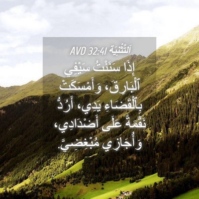 Picture 04 - اَلتَّثْنِيَة 32:41 AVD - إِذَا سَنَنْتُ سَيْفِي - Bible Verse Picture
