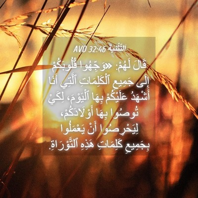 Picture 04 - اَلتَّثْنِيَة 32:46 AVD - قَالَ لَهُمْ: «وَجِّهُوا - Bible Verse Picture