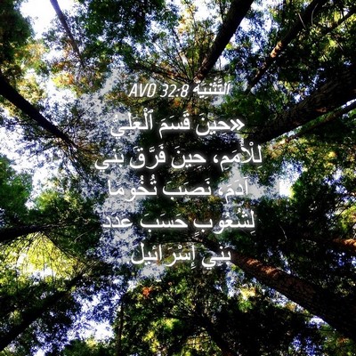Picture 04 - اَلتَّثْنِيَة 32:8 AVD - «حِينَ قَسَمَ ٱلْعَلِيُّ - Bible Verse Picture