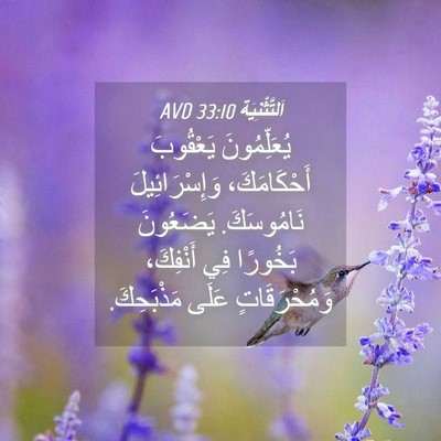 Picture 04 - اَلتَّثْنِيَة 33:10 AVD - يُعَلِّمُونَ يَعْقُوبَ - Bible Verse Picture