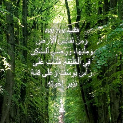 Picture 04 - اَلتَّثْنِيَة 33:16 AVD - وَمِنْ نَفَائِسِ - Bible Verse Picture