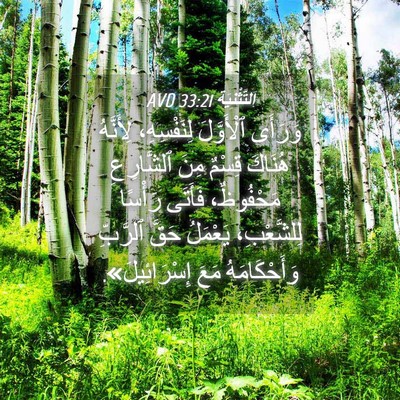 Picture 04 - اَلتَّثْنِيَة 33:21 AVD - وَرَأَى ٱلْأَوَّلَ - Bible Verse Picture