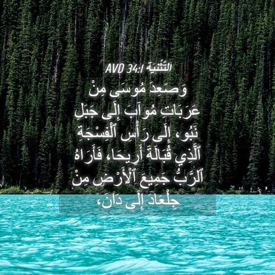Picture 04 - اَلتَّثْنِيَة 34:1 AVD - وَصَعِدَ مُوسَى مِنْ - Bible Verse Picture