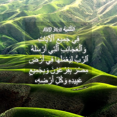 Picture 04 - اَلتَّثْنِيَة 34:11 AVD - فِي جَمِيعِ ٱلْآيَاتِ - Bible Verse Picture