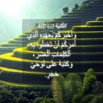 Picture 04 - اَلتَّثْنِيَة 4:13 AVD - وَأَخْبَرَكُمْ بِعَهْدِهِ - Bible Verse Picture