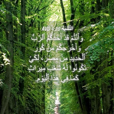 Picture 04 - اَلتَّثْنِيَة 4:20 AVD - وَأَنْتُمْ قَدْ - Bible Verse Picture