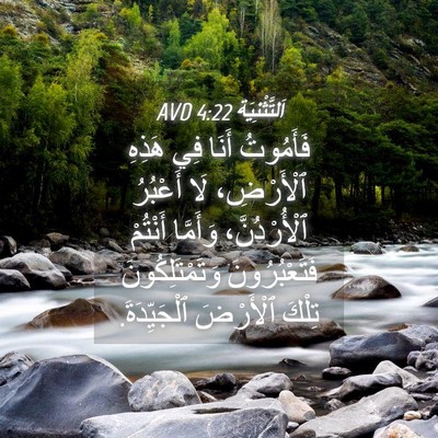 Picture 04 - اَلتَّثْنِيَة 4:22 AVD - فَأَمُوتُ أَنَا فِي هَذِهِ - Bible Verse Picture