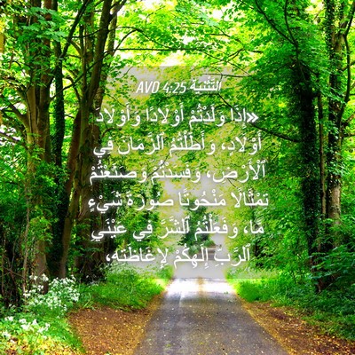 Picture 04 - اَلتَّثْنِيَة 4:25 AVD - «إِذَا وَلَدْتُمْ - Bible Verse Picture