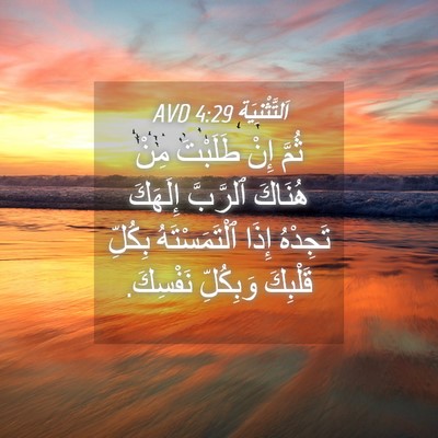 Picture 04 - اَلتَّثْنِيَة 4:29 AVD - ثُمَّ إِنْ طَلَبْتَ مِنْ - Bible Verse Picture