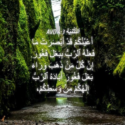 Picture 04 - اَلتَّثْنِيَة 4:3 AVD - أَعْيُنُكُمْ قَدْ - Bible Verse Picture