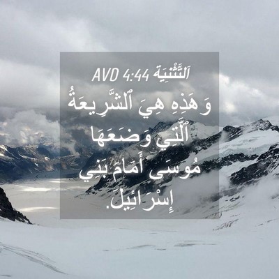 Picture 04 - اَلتَّثْنِيَة 4:44 AVD - وَهَذِهِ هِيَ - Bible Verse Picture