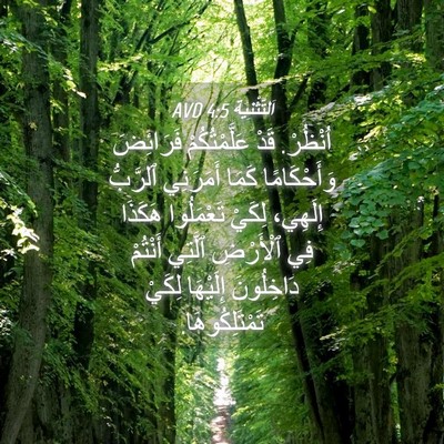 Picture 04 - اَلتَّثْنِيَة 4:5 AVD - اُنْظُرْ. قَدْ - Bible Verse Picture