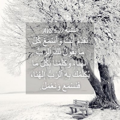 Picture 04 - اَلتَّثْنِيَة 5:27 AVD - تَقَدَّمْ أَنْتَ - Bible Verse Picture
