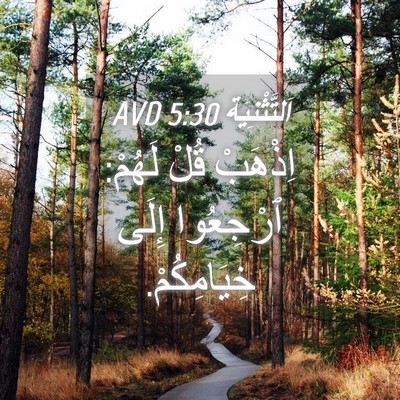 Picture 04 - اَلتَّثْنِيَة 5:30 AVD - اِذْهَبْ قُلْ لَهُمْ: - Bible Verse Picture