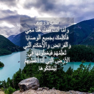 Picture 04 - اَلتَّثْنِيَة 5:31 AVD - وَأَمَّا أَنْتَ فَقِفْ - Bible Verse Picture