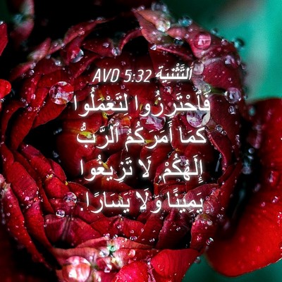 Picture 04 - اَلتَّثْنِيَة 5:32 AVD - فَٱحْتَرِزُوا - Bible Verse Picture