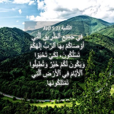 Picture 04 - اَلتَّثْنِيَة 5:33 AVD - فِي جَمِيعِ ٱلطَّرِيقِ - Bible Verse Picture
