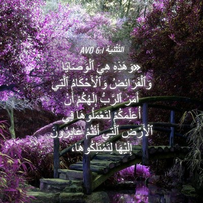 Picture 04 - اَلتَّثْنِيَة 6:1 AVD - «وَهَذِهِ هِيَ - Bible Verse Picture
