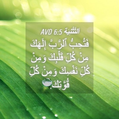 Picture 04 - اَلتَّثْنِيَة 6:5 AVD - فَتُحِبُّ ٱلرَّبَّ - Bible Verse Picture