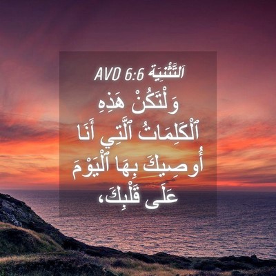 Picture 04 - اَلتَّثْنِيَة 6:6 AVD - وَلْتَكُنْ هَذِهِ - Bible Verse Picture