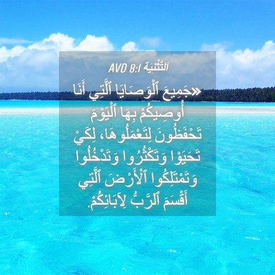 Picture 04 - اَلتَّثْنِيَة 8:1 AVD - «جَمِيعَ ٱلْوَصَايَا - Bible Verse Picture