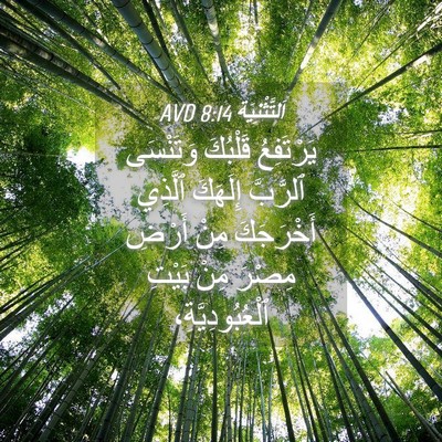 Picture 04 - اَلتَّثْنِيَة 8:14 AVD - يَرْتَفِعُ قَلْبُكَ - Bible Verse Picture