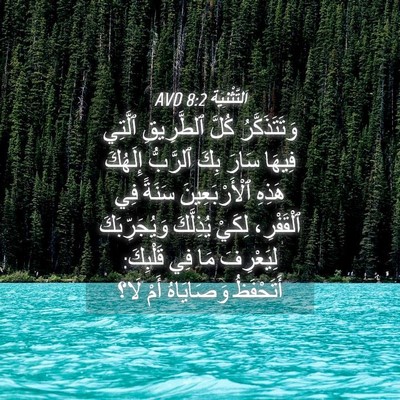 Picture 04 - اَلتَّثْنِيَة 8:2 AVD - وَتَتَذَكَّرُ كُلَّ - Bible Verse Picture