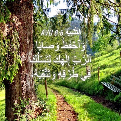 Picture 04 - اَلتَّثْنِيَة 8:6 AVD - وَٱحْفَظْ وَصَايَا - Bible Verse Picture