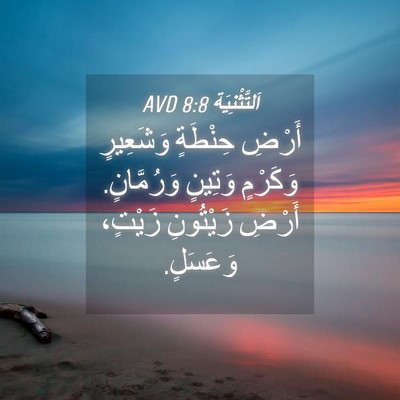 Picture 04 - اَلتَّثْنِيَة 8:8 AVD - أَرْضِ حِنْطَةٍ وَشَعِيرٍ - Bible Verse Picture