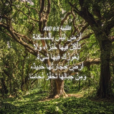 Picture 04 - اَلتَّثْنِيَة 8:9 AVD - أَرْضٍ لَيْسَ - Bible Verse Picture