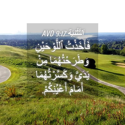 Picture 04 - اَلتَّثْنِيَة 9:17 AVD - فَأَخَذْتُ ٱللَّوْحَيْنِ - Bible Verse Picture