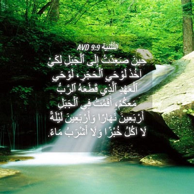 Picture 04 - اَلتَّثْنِيَة 9:9 AVD - حِينَ صَعِدْتُ إِلَى - Bible Verse Picture