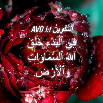 Picture 04 - اَلتَّكْوِينُ 1:1 AVD - فِي ٱلْبَدْءِ خَلَقَ ٱللهُ - Bible Verse Picture