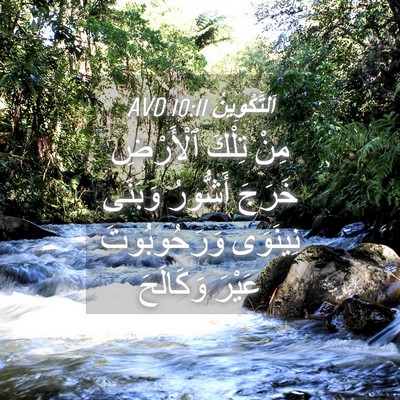 Picture 04 - اَلتَّكْوِينُ 10:11 AVD - مِنْ تِلْكَ ٱلْأَرْضِ - Bible Verse Picture