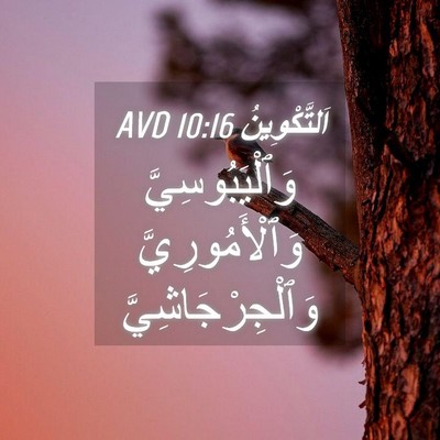 Picture 04 - اَلتَّكْوِينُ 10:16 AVD - وَٱلْيَبُوسِيَّ - Bible Verse Picture