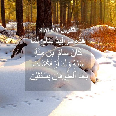Picture 04 - اَلتَّكْوِينُ 11:10 AVD - هَذِهِ مَوَالِيدُ سَامٍ: - Bible Verse Picture