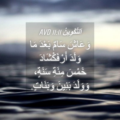Picture 04 - اَلتَّكْوِينُ 11:11 AVD - وَعَاشَ سَامٌ بَعْدَ مَا - Bible Verse Picture