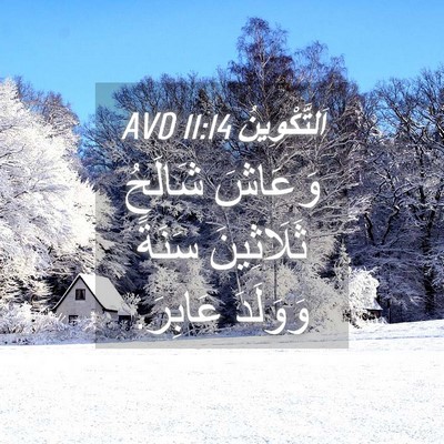 Picture 04 - اَلتَّكْوِينُ 11:14 AVD - وَعَاشَ شَالَحُ - Bible Verse Picture